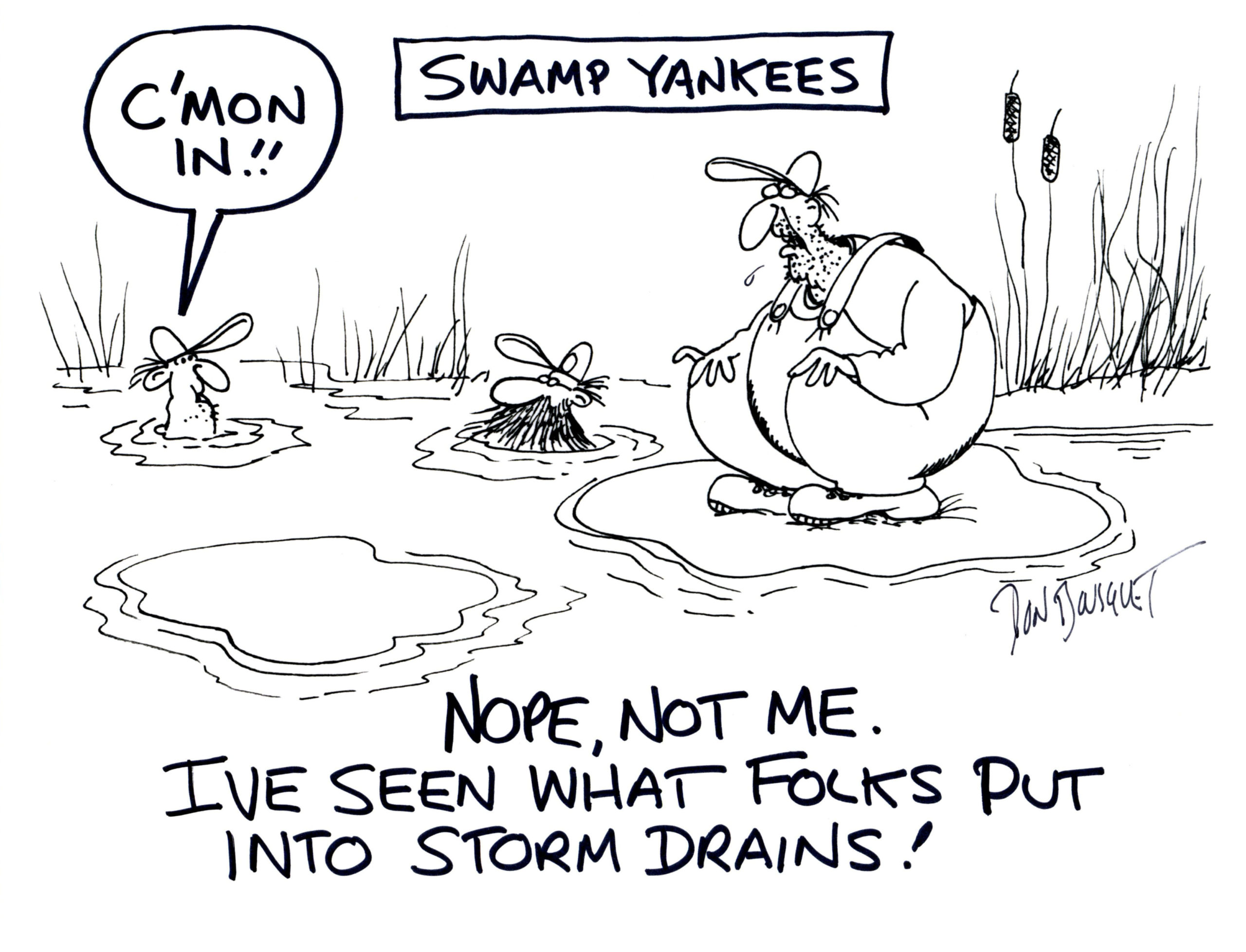 SwampYankStormDrainsCmonIn